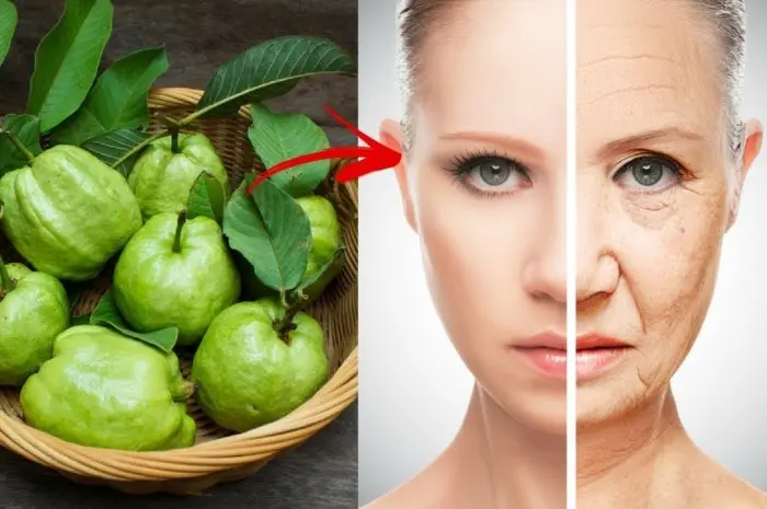 Use Guava Leaves to Beat Wrinkles, Acne, Dark Spots and Skin Allergies
